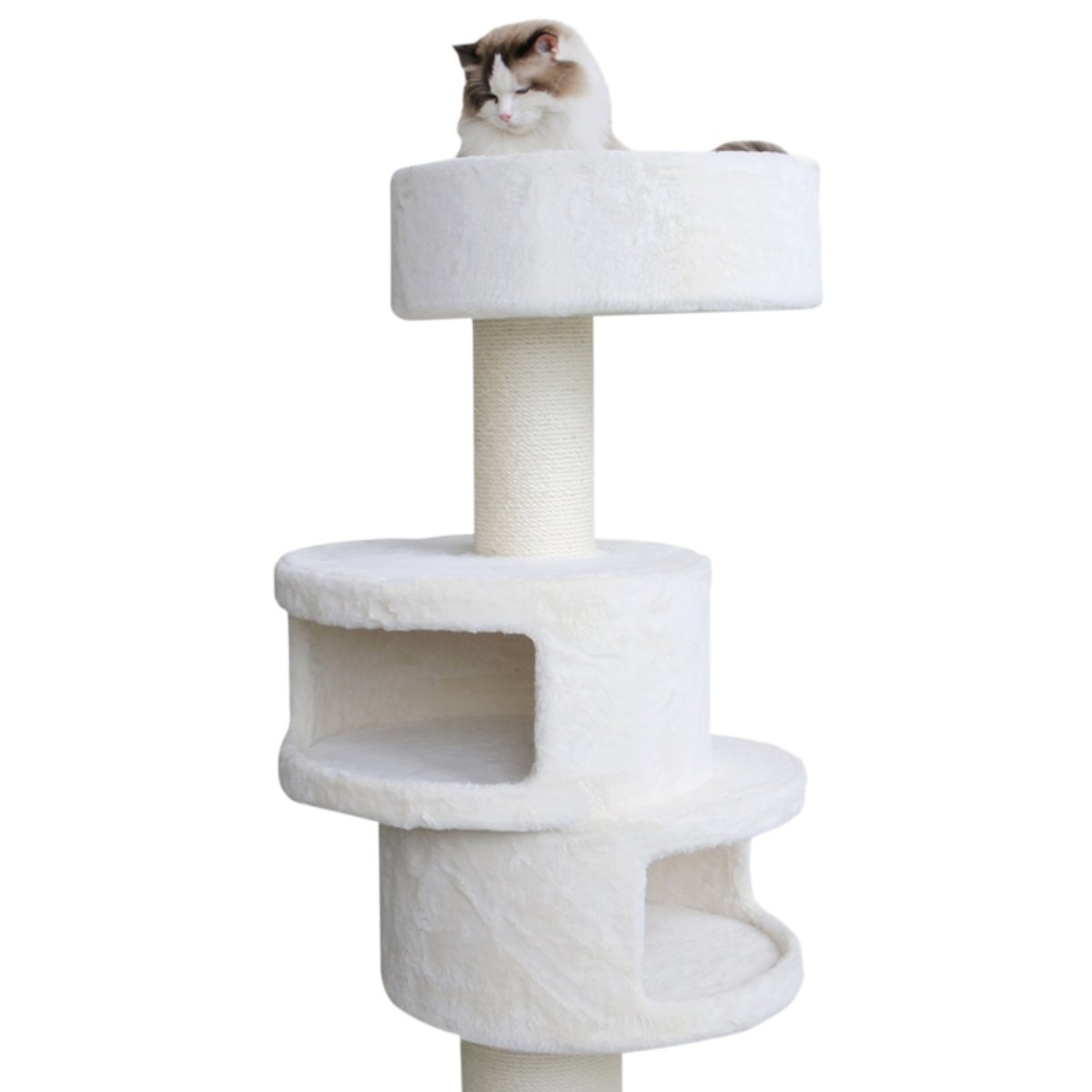 Katze Kratzbaum