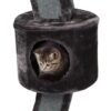 Katze sitzt im DesignerKratzbaum