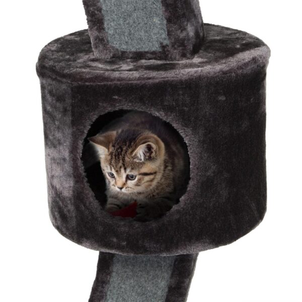 Katze sitzt im DesignerKratzbaum
