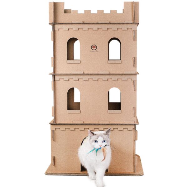 Katzen in einem Katzenschloss