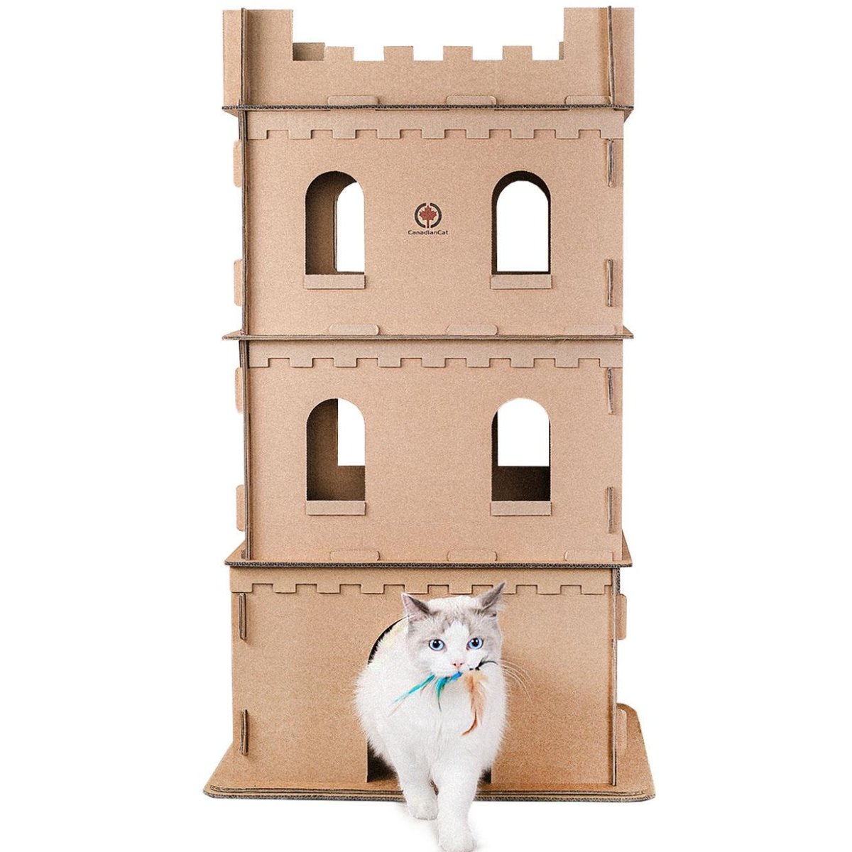 Katzen in einem Katzenschloss