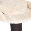 Katzenbaum Farbe cream