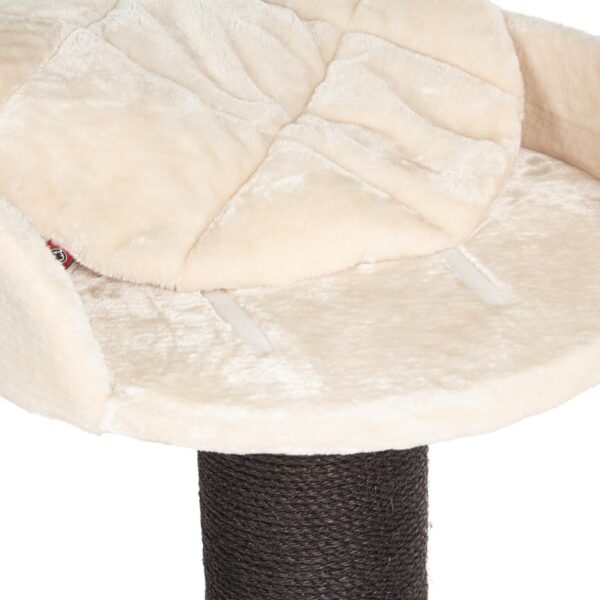 Katzenbaum Farbe cream