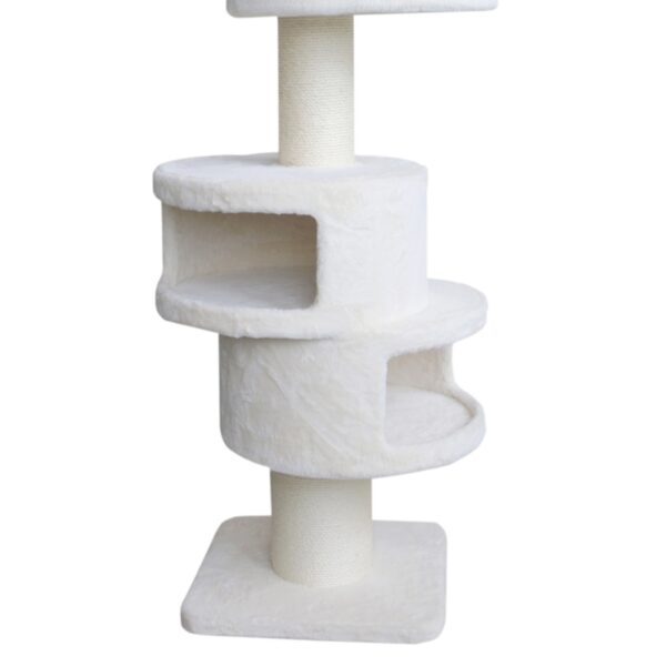 Katzenbaum Katze
