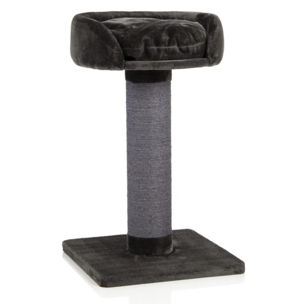 Katzenbaum klein