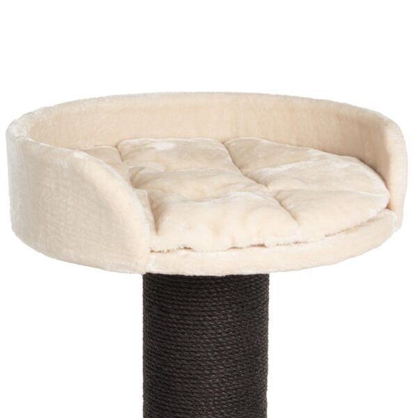 Katzenkratzbaum Farbe creme
