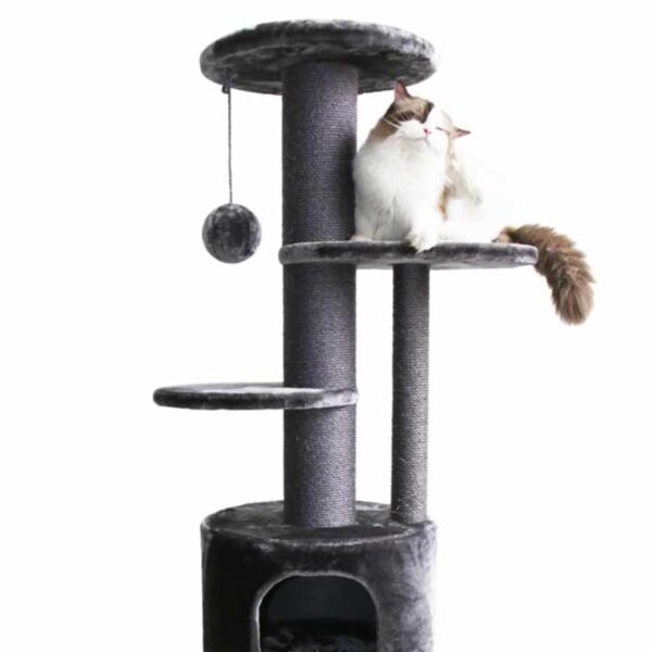Katzenkratzbaum Katze