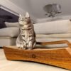 Katzenkratzbrett