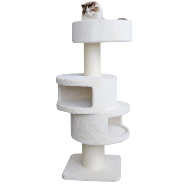 Kratzbaum Katze