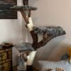 Natur Katzenbaum