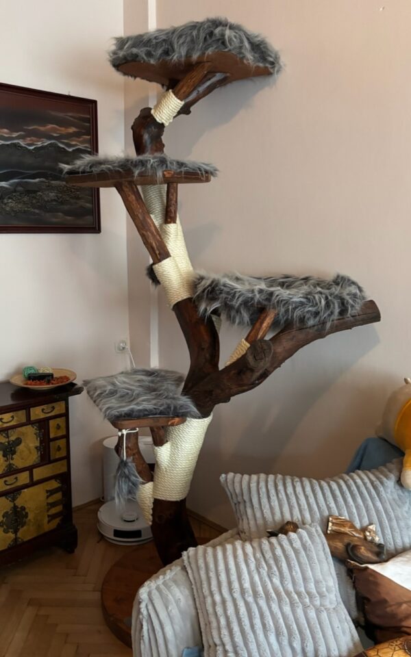 Natur Katzenbaum
