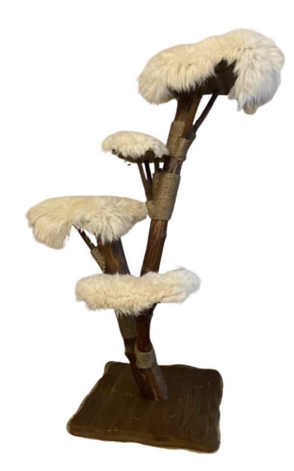 Naturkratzbaum