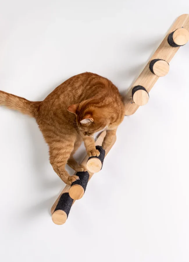 schwarzer Wandkratzbaum mit rundem Holz